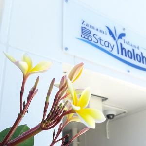 a close up of a flower in a hospital room at Shima Stay holoholo in Zamami