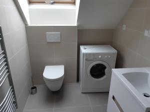a small bathroom with a toilet and a washing machine at Rezidence Pavlov in Pavlov +16 photos