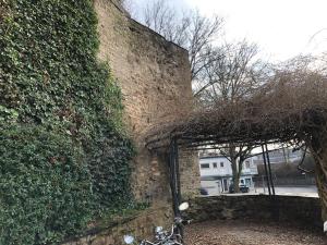 Zahrada ubytování Ferienwohnung "An der Stadtmauer"