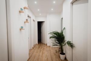 Fotografia z galérie ubytovania La Boutique del Vento - Esclusivo in pieno centro v destinácii Trieste