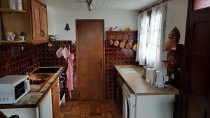 una pequeña cocina con encimera y microondas en chez Sandrine et Olivier, en Belvédère