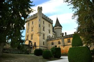 un grand château avec une tour en haut dans l'établissement Les toits de Lascaux, à Montignac