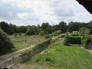 een uitzicht op een tuin met een parasol in het gras bij Radlerzimmer (Zweibettzimmer) in Strasen