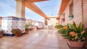 un patio al aire libre con plantas en un edificio en Casa Serra - PATERNA - APARTAMENTO ALQUILA 3 HABITACIONES CON GARAJE en Paterna