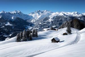 Appart Laijola during the winter