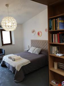 1 dormitorio con cama y estante para libros en Apartamentos 14DeSande, en Cáceres