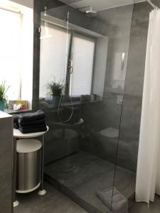 a bathroom with a shower with a glass door at Moderne Ferienwohnung direkt in Landsberg am Lech in Landsberg am Lech