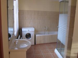 y baño con lavadora, lavamanos y lavadora. en LA MAISON FLEURIE Gîtes du Florimont, en Ingersheim