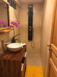 a bathroom with a sink and a shower at Ti Kaz Ravinala in Ravine des Cabris