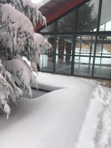 un árbol cubierto de nieve frente a un edificio en Fuentes Blancas, en Vegacervera