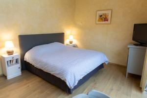 ein Schlafzimmer mit einem Bett, zwei Nachttischen und einem TV in der Unterkunft Chambre indépendante à Carcassonne in Carcassonne