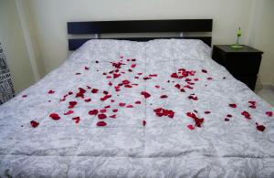 a bed with red rose petals on it at Erofili Apartment in Thessaloniki