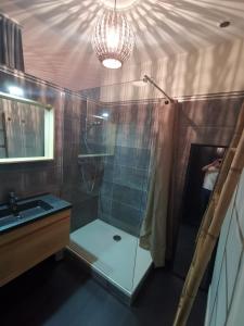 a bathroom with a shower and a sink and a chandelier at Au Saint Martin in Cholet