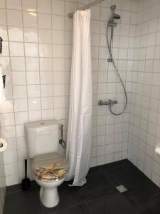 a bathroom with a toilet with a shower curtain at BenSan Beach House Zandvoort with Private Parking in Zandvoort