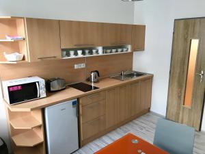 Köök või kööginurk majutusasutuses Apartmány Dagmar