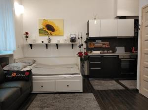 A kitchen or kitchenette at Belvárosi Apartmanszálló - Kiskunfélegyháza