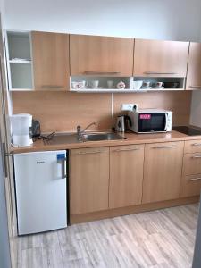 eine kleine Küche mit einer Spüle und einer Mikrowelle in der Unterkunft Apartmány Dagmar in Marienbad