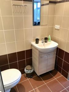 Vannituba majutusasutuses Apartmány Dagmar