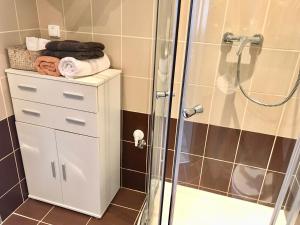 baño con ducha y armario blanco en Apartmány Dagmar, en Mariánské Lázně