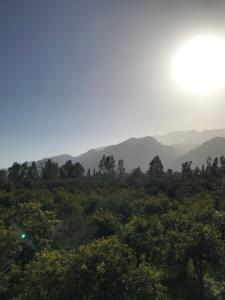 Una vista de un bosque con montañas al fondo. en Taygetos, en Esparta
