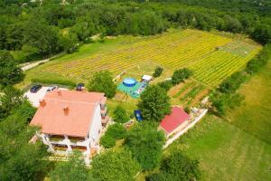 an aerial view of a house in a vineyard at Apartments Valoda in Nedeščina