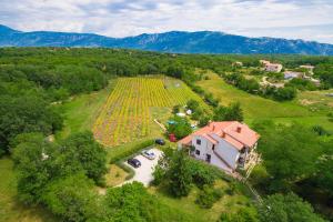 an aerial view of a house and a field of flowers at Apartments Valoda in Nedeščina