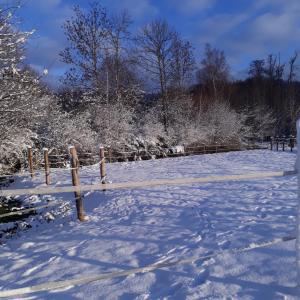 ein schneebedecktes Feld mit einem Zaun und Bäumen in der Unterkunft Le Gîte du Cheval Blanc in Fraize