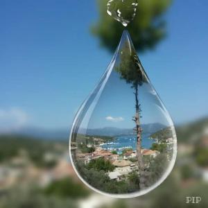 a drop of water with a tree in it at Villa Lydia in Meganisi