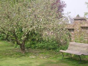 Zahrada ubytování Bed & Breakfast Appeltern