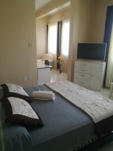 a bedroom with a large bed with a flat screen tv at Dorado Hotel in Cobija