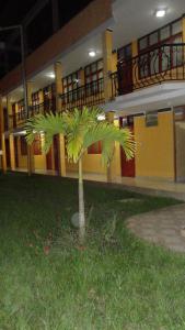 a palm tree in front of a building at Dorado Hotel in Cobija