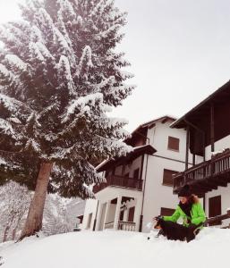 Gallery image of Elison-on the lake B&B in Sauris