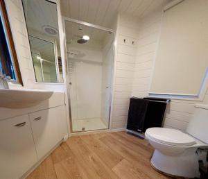 a bathroom with a shower and a toilet and a sink at Wedgetail in Dinner Plain +6 photos