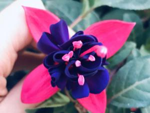Fotografie z fotogalerie ubytování Ha Khoa Hotel Dalat v destinaci Da Lat