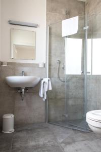 a bathroom with a shower and a sink and a toilet at Grüner Baum in Langenau