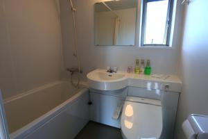 a bathroom with a sink and a toilet and a mirror at Pension Kongo Baru in Tokunoshima