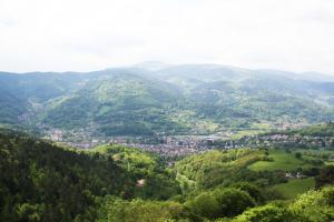 a view of a valley of mountains with a town at Hôtel Panorama in Munster