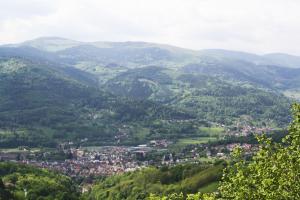 a view of a town in the mountains at Hôtel Panorama in Munster