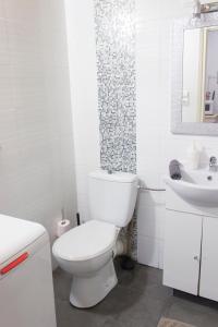 ブダペストにあるLisa Apartment on the famous Dohany streetの白いバスルーム(トイレ、シンク付)