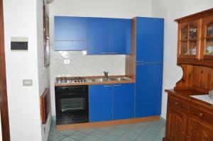 布多尼的住宿－Appartamento Li Puntiti 1，蓝色的厨房设有水槽和炉灶