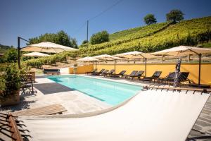 Πισίνα στο ή κοντά στο Villa Vinory - Tenuta il Sogno