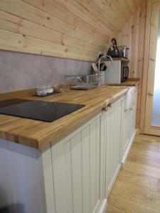 a kitchen with a sink and a counter top at Harlosh Hideaways - Aurora Pod in Harlosh