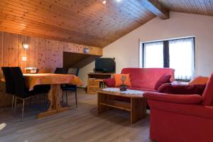 TV a/nebo společenská místnost v ubytování Apartments Orphelja + 9 fotografií
