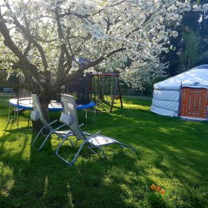 Galeriebild der Unterkunft Pension New Nomads in Zesch