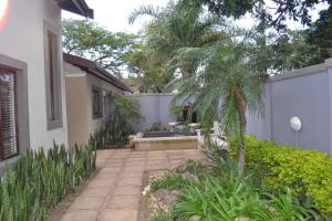 a courtyard of a house with a palm tree at Mahogany Villa Guesthouse - SOLAR in Ballito