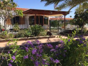 Kép Los Porches Rosario szállásáról Playa del Inglésben a galériában