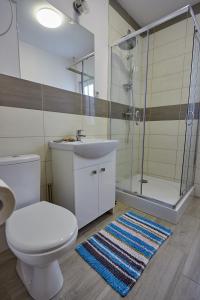 W łazience znajduje się toaleta, umywalka i prysznic. w obiekcie Sosnowa Osada w mieście Cieszanów