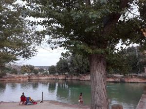 grupa ludzi siedzących na drzewie obok jeziora w obiekcie EL MIRADOR DEL MOLINO w mieście Ossa de Montiel