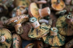 Φωτογραφία από το άλμπουμ του Fonda Barris σε Joanetes