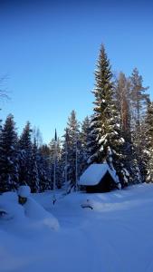 The Old Logging Camp talvel